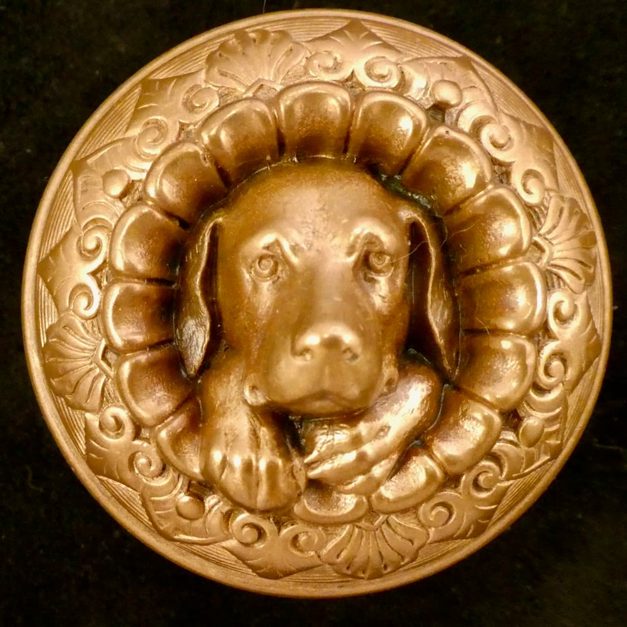 Doggie